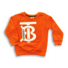 BT Rubber Printed Sweatshirt for Kids Orange