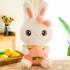 Cute Rabbit Plush 45cm