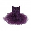 Purple Little Queen Party Dress