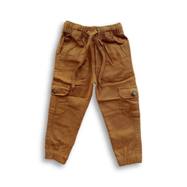 Boys Cargo Stretch Full Pant Brick