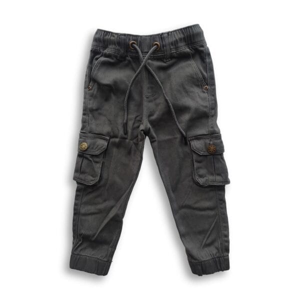 Boys Harmonium Six Pocket Cargo Full Pant Ash