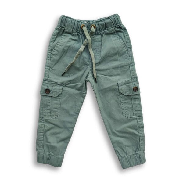 Boys Cargo Stretch Full Pant Pest