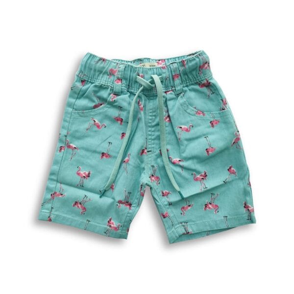 Boys All Over Bird Printed Gabardine Half Pant Paste