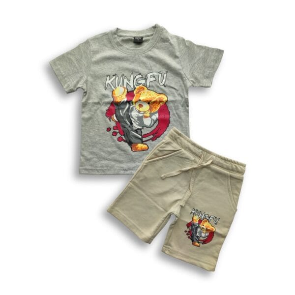 Boys Kung Fu Panda Printed T-shirt & Pant Set Ash