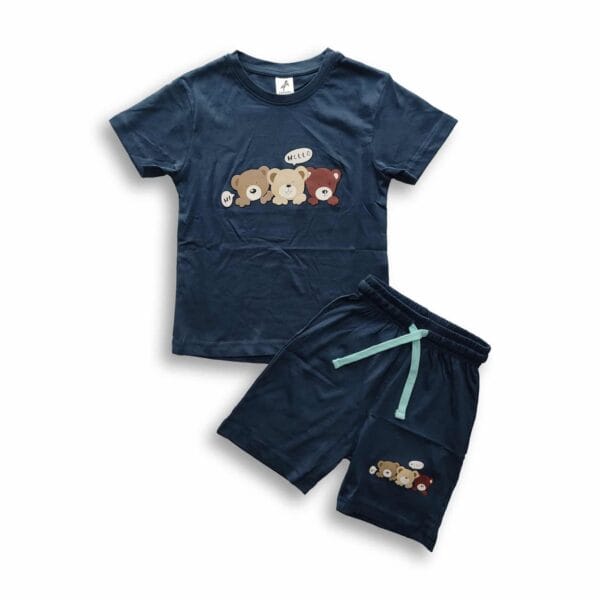 Boys Bear Printed T-shirt & Pant Set Blue
