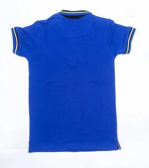 Boys' Printed Short Sleeve Summer Polo T-Shirt_Blue - Image 2