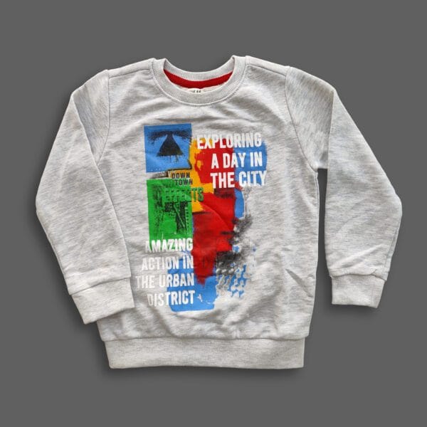 Boys Stylish Printed Sweatshirt Ash