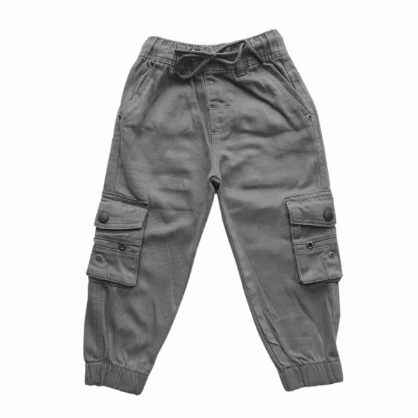 Boys Harmonium Six Pocket Cargo Full Pant Ash