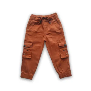 Boys Harmonium Six Pocket Cargo Full Pant Chocolate