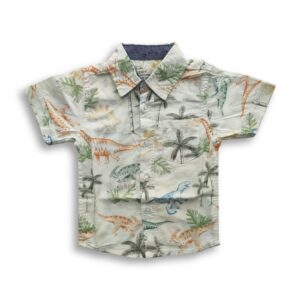Boys All Over Dinosaur Printed Shirt White